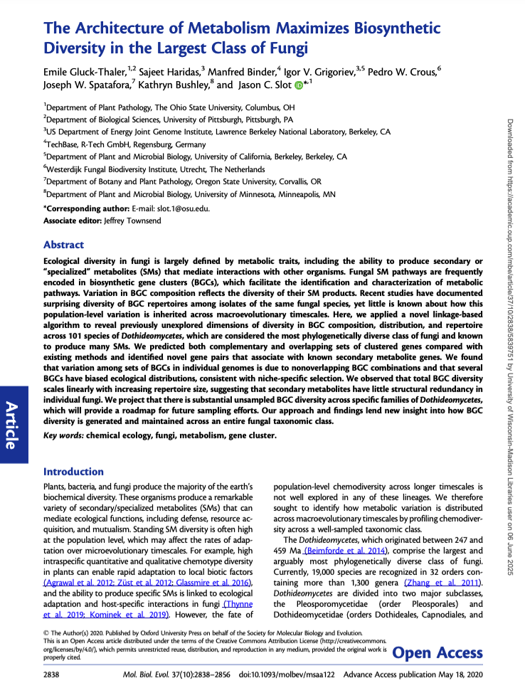 The Architecture of Metabolism Maximizes Biosynthetic Diversity in the Largest Class of Fungi