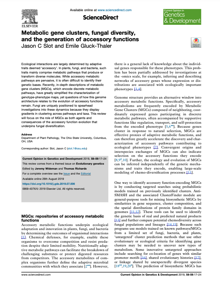 Metabolic gene clusters, fungal diversity, and the generation of accessory functions