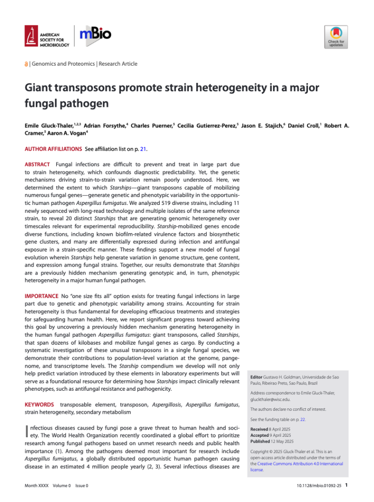 Giant transposons promote strain heterogeneity in a major fungal pathogen