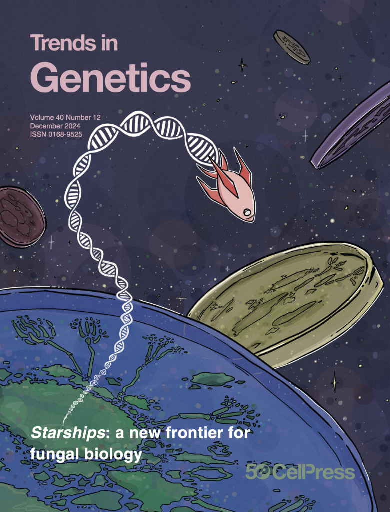 Starships: a new frontier for fungal biology